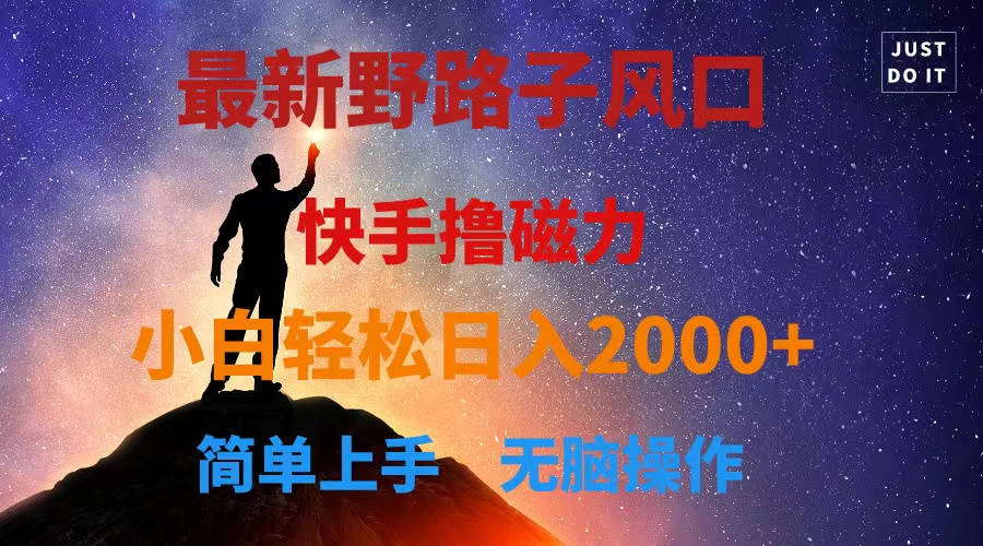 最新风口！快手撸磁力，野路子，小白无脑操作日入2000+-800资源网