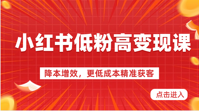 小红书低粉高变现课-降本增效，更低成本精准获客，小红书必爆的流量密码-800资源网