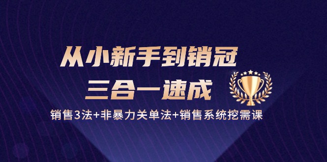 从小新手到销冠三合一速成：销售3法+非暴力关单法+销售系统挖需课 (27节)-800资源网