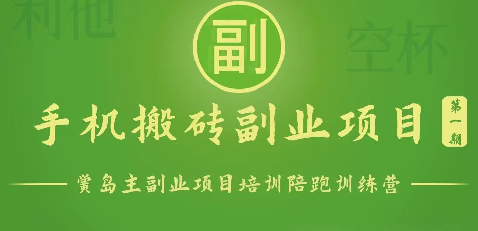 手机搬砖小副业项目训练营1.0，能用手机做的简单小副业-800资源网