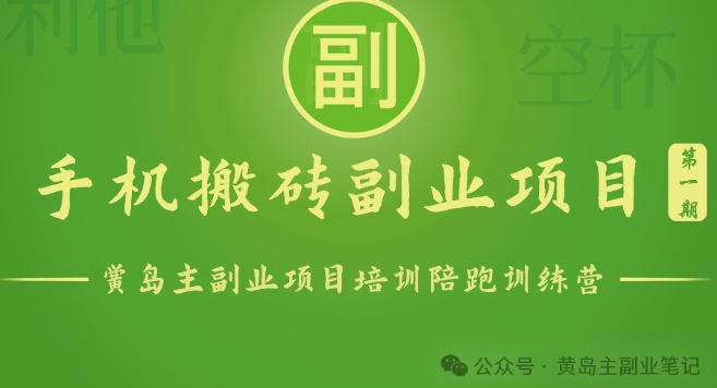 手机搬砖小副业项目训练营1.0，实测1小时收益50+，一部手机轻松日入100+-800资源网
