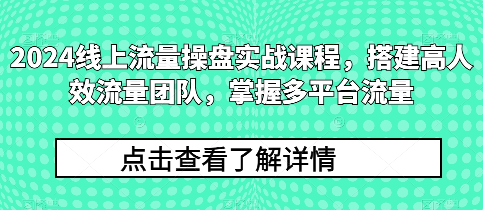 2024线上流量操盘实战课程，搭建高人效流量团队，掌握多平台流量-800资源网