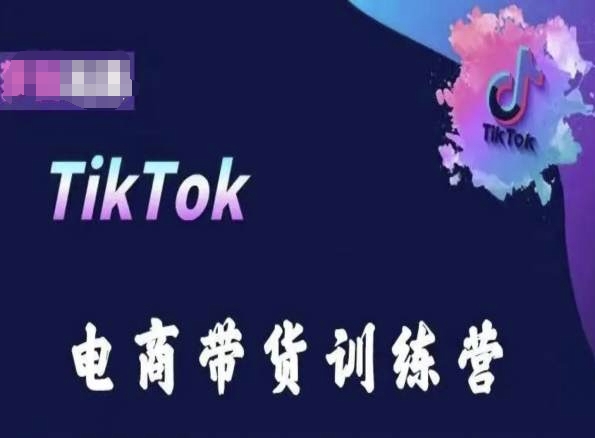 TikTok电商带货训练营，跟随时代潮流，跨境掘金-800资源网