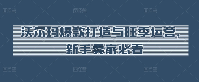 沃尔玛爆款打造与旺季运营，新手卖家必看-800资源网