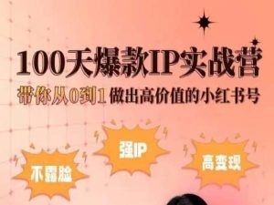 小红书100天爆款IP实战营，带你从0到1做出高价值的小红书号-800资源网
