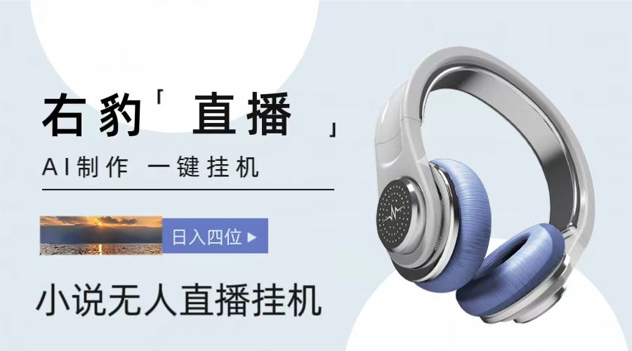 右豹小说无人直播挂机吸金项目，简单易行收益稳定， 月入1000+-800资源网
