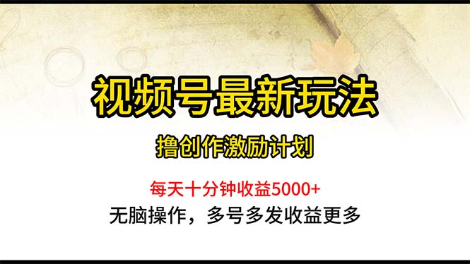 视频号最新玩法，每日一小时月入5000+-800资源网