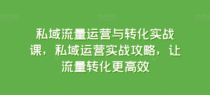 私域流量运营与转化实战课，私域运营实战攻略，让流量转化更高效-800资源网