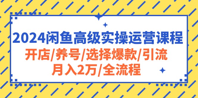 2024闲鱼高级实操运营课程：开店/养号/选择爆款/引流/月入2万/全流程-800资源网