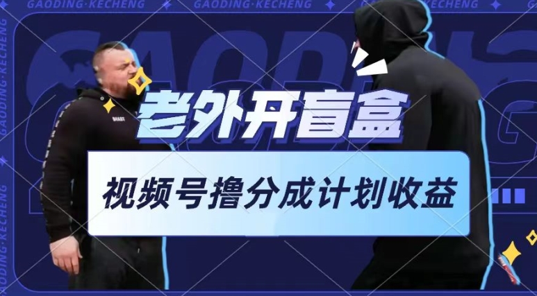 老外开盲盒视频，撸视频号分成计划收益，每天只需一小时，新手小白轻松上手-800资源网