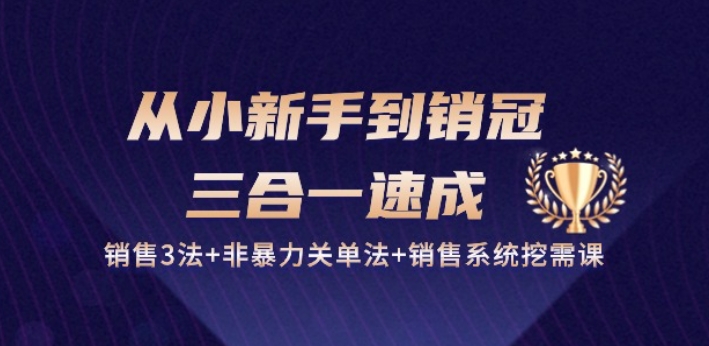 从小新手到销冠 三合一速成：销售3法+非暴力关单法+销售系统挖需课 (27节)-800资源网