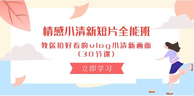 情感 小清新短片-全能班，教你拍好看的vlog小清新画面 (30节课)-800资源网