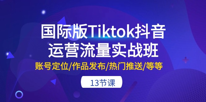 国际版Tiktok抖音运营流量实战班：账号定位/作品发布/热门推送/等等（13节）-800资源网