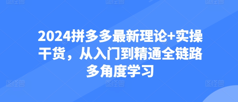 2024拼多多最新理论+实操干货，从入门到精通全链路多角度学习-800资源网