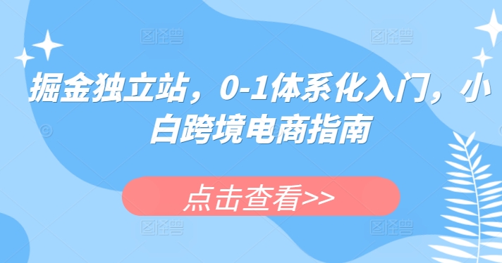 掘金独立站，0-1体系化入门，小白跨境电商指南-800资源网