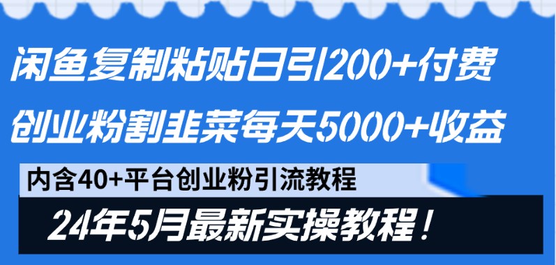 闲鱼复制粘贴日引200+付费创业粉，24年5月最新方法！割韭菜日稳定5000+收益-800资源网