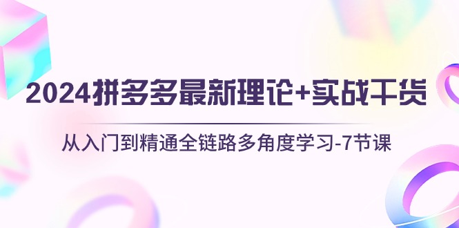 2024拼多多 最新理论+实战干货，从入门到精通全链路多角度学习-7节课-800资源网