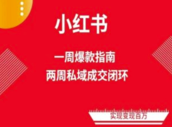 爆款小红书免费流量体系课程(两周变现)，小红书电商教程-800资源网