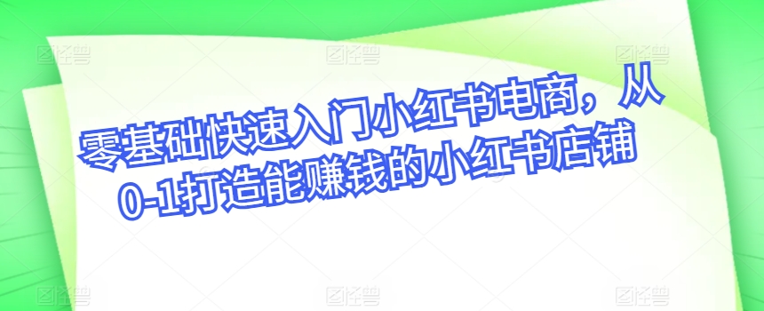 零基础快速入门小红书电商，从0-1打造能赚钱的小红书店铺-800资源网