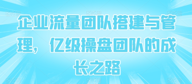 企业流量团队搭建与管理，亿级操盘团队的成长之路-800资源网