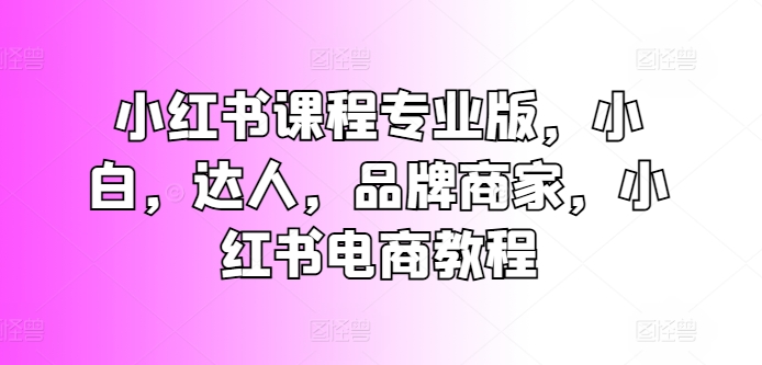 小红书课程专业版，小白，达人，品牌商家，小红书电商教程-800资源网