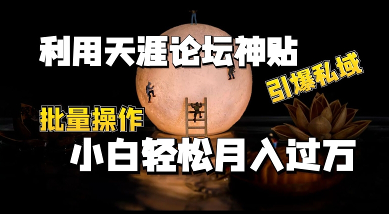 利用天涯论坛神贴，引爆私域，批量操作，小白轻松月入过w-800资源网