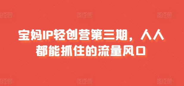宝妈IP轻创营第三期，人人都能抓住的流量风口-800资源网