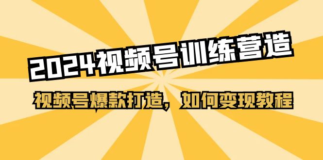 2024视频号训练营，视频号爆款打造，如何变现教程（20节课）-800资源网