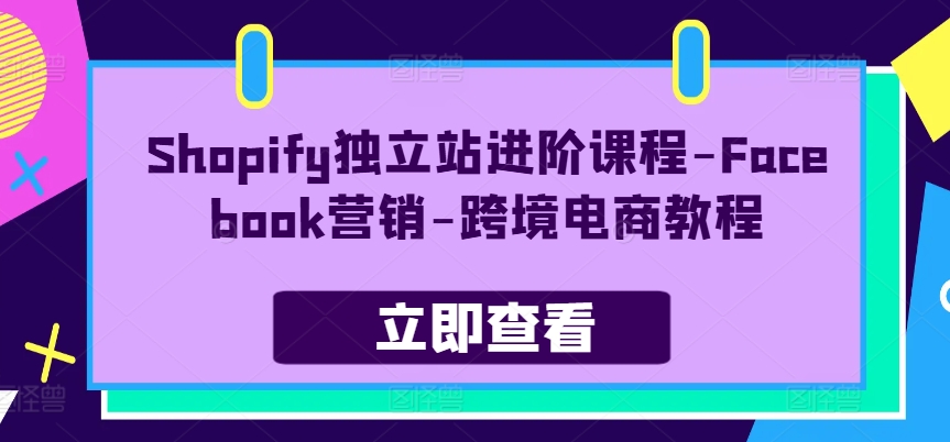 Shopify独立站进阶课程-Facebook营销-跨境电商教程-800资源网