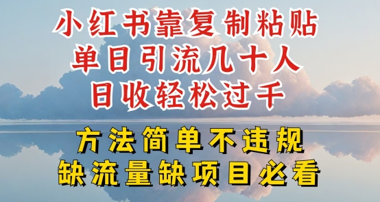 小红书靠复制粘贴单日引流几十人目收轻松过千，方法简单不违规-800资源网