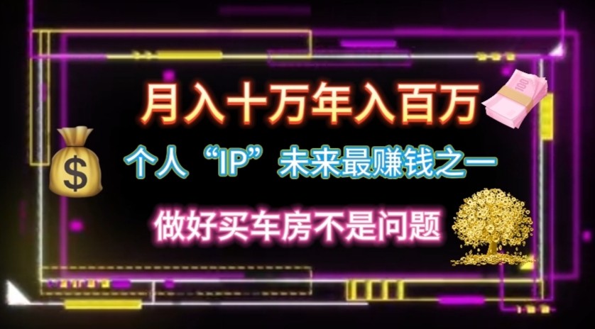 个人“ip”月入10w，年入100w-800资源网