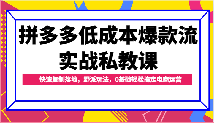 拼多多低成本爆款流实战私教课，快速复制落地，野派玩法，0基础轻松搞定电商运营-800资源网