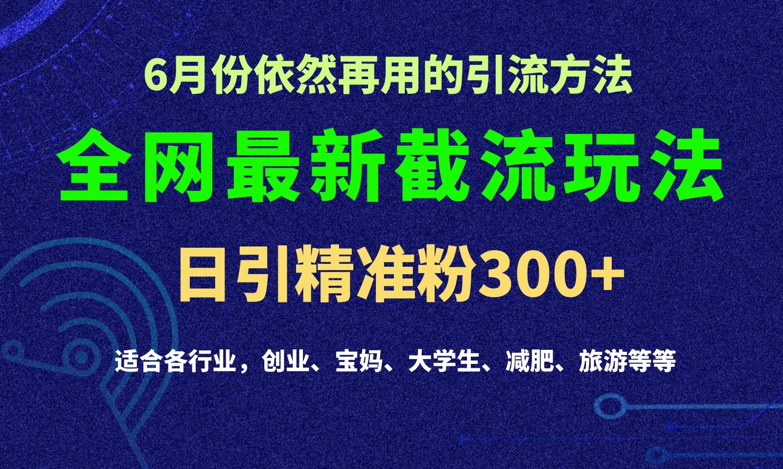 2024全网最新截留玩法，每日引流突破300+-800资源网
