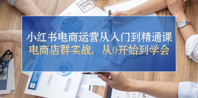 小红书电商运营从入门到精通课，电商店群实战，从0开始到学会-800资源网