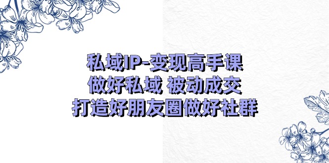 私域IP变现高手课：做好私域被动成交，打造好朋友圈做好社群（18节）-800资源网
