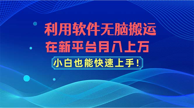利用软件无脑搬运，在新平台月入上万，小白也能快速上手-800资源网