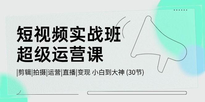 短视频实战班-超级运营课，|剪辑|拍摄|运营|直播|变现 小白到大神 (30节)-800资源网