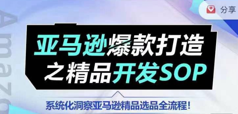 【训练营】亚马逊爆款打造之精品开发SOP，系统化洞察亚马逊精品选品全流程-800资源网