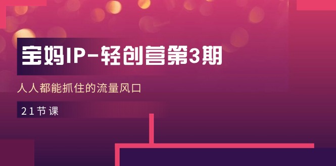 宝妈IP轻创营第3期，人人都能抓住的流量风口（21节课）-800资源网