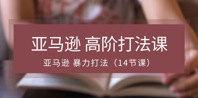 亚马逊高阶打法课，亚马逊暴力打法（14节视频课）-800资源网