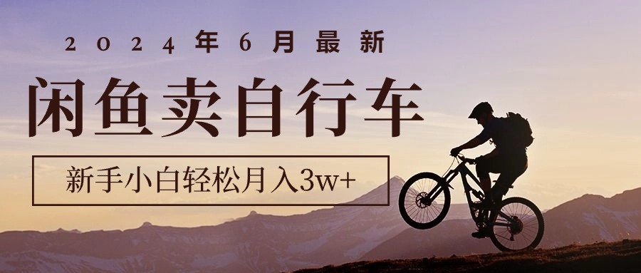 2024年6月最新闲鱼卖自行车，新手小白轻松月入3w+项目-800资源网