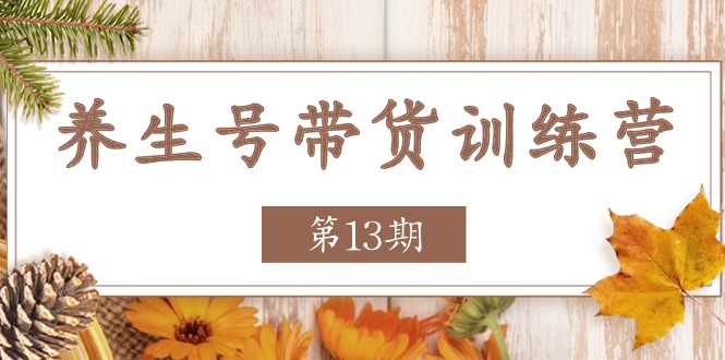 养生号带货训练营【第13期】收益更稳定的玩法，让你带货收益爆炸-800资源网