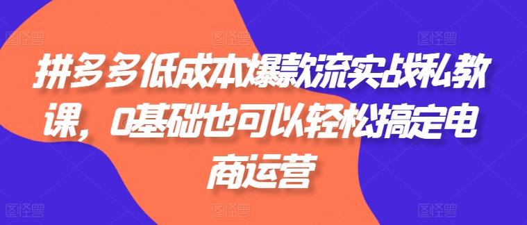 拼多多低成本爆款流实战私教课，0基础也可以轻松搞定电商运营-800资源网