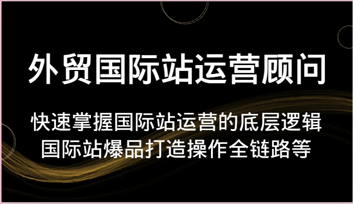 外贸国际站运营顾问-快速掌握国际站运营的底层逻辑，国际站爆品打造操作全链路等-800资源网