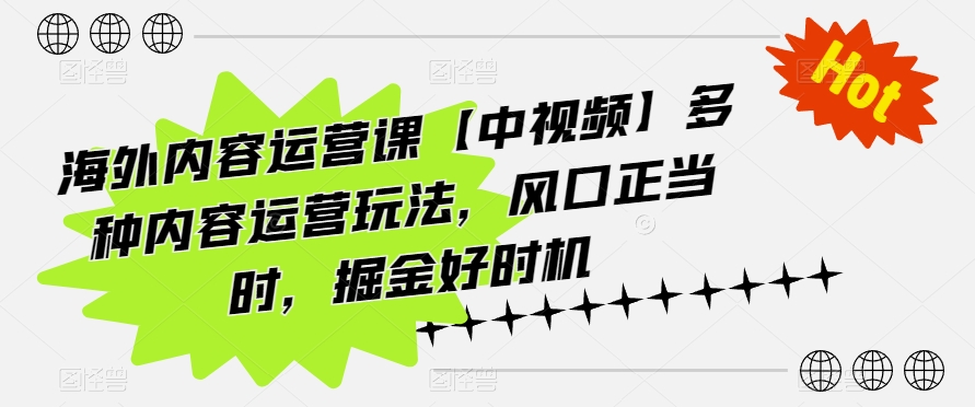 海外内容运营课【中视频】多种内容运营玩法，风口正当时，掘金好时机-800资源网