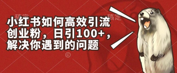 小红书如何高效引流创业粉，日引100+，解决你遇到的问题-800资源网