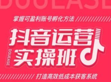 抖音运营实操班，掌握可盈利账号孵化方法，打造高效低成本获客系统-800资源网