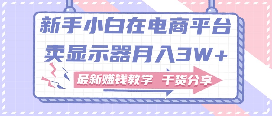 新手小白如何做到在电商平台卖显示器月入3W+，最新赚钱教学干货分享-800资源网