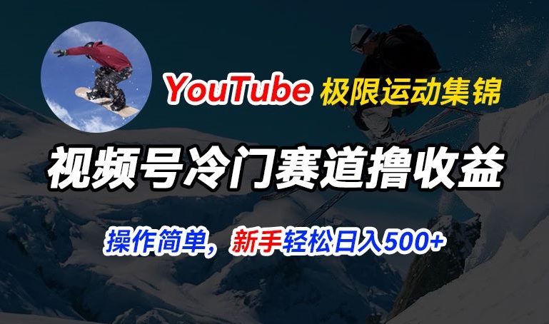 视频号冷门赛道撸收益，YouTube搬运极限运动集锦，暴力起号，操作简单流量高，轻松日入5张-800资源网
