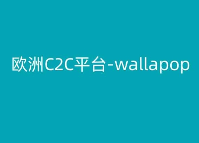 欧洲C2C平台-wallapop-kim跨境电商教程-800资源网